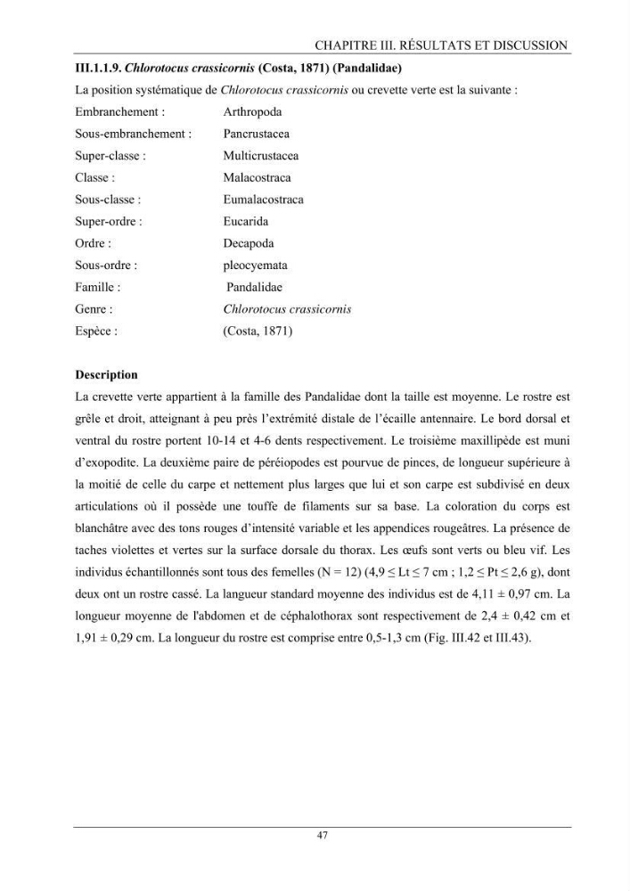 Contribution à l’inventaire des crevettes (Crustacea, Decapoda) dans la région centre du bassin Algérien: