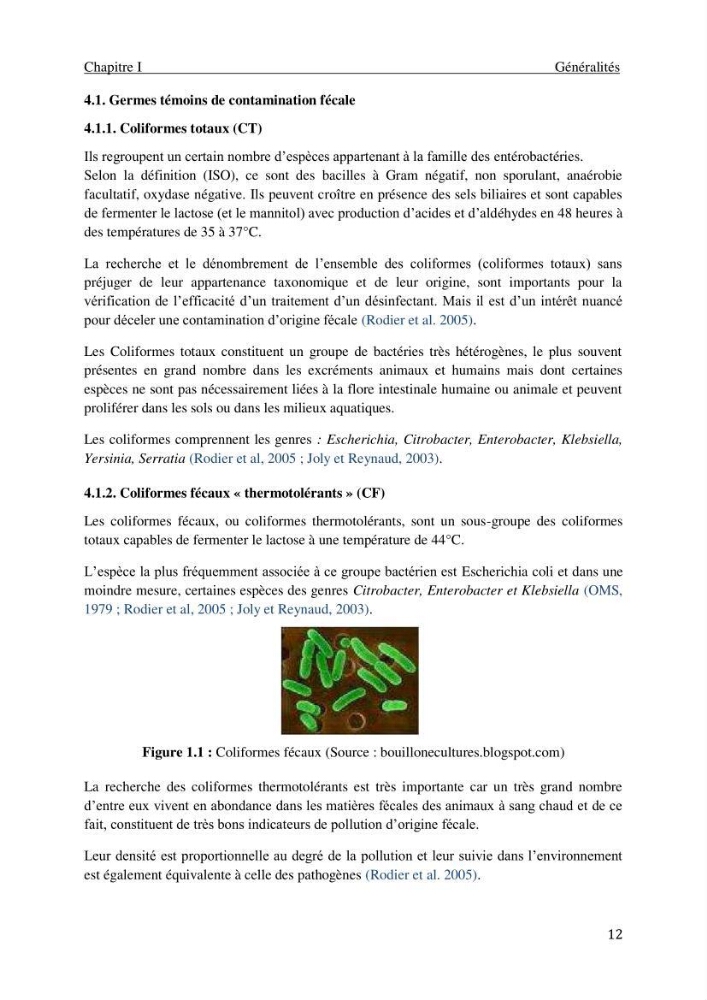 Impact des rejets des eaux usées sur le littoral Algérois, constat et diagnostic de la situation actuelle