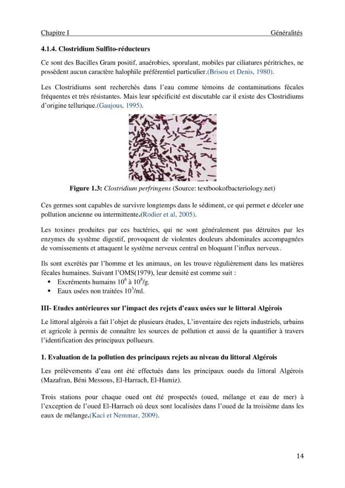 Impact des rejets des eaux usées sur le littoral Algérois, constat et diagnostic de la situation actuelle