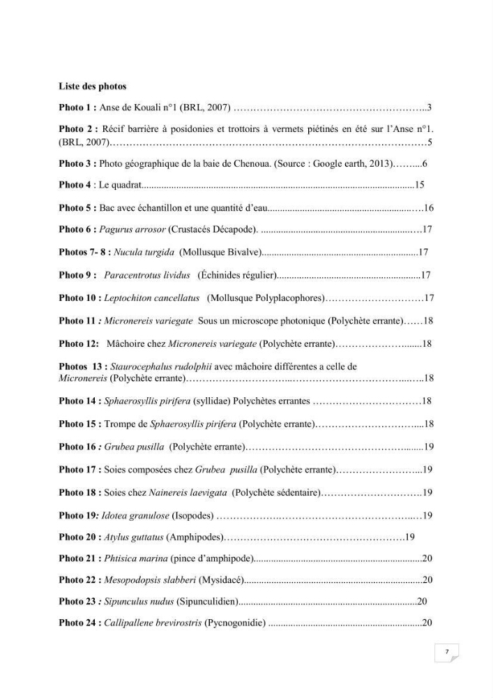 Contribution à la connaissance de la macrofaune benthique de l\'Anse de Kouali et mont Chenoua