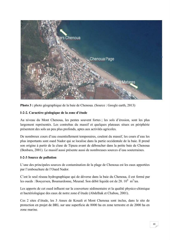 Contribution à la connaissance de la macrofaune benthique de l\'Anse de Kouali et mont Chenoua