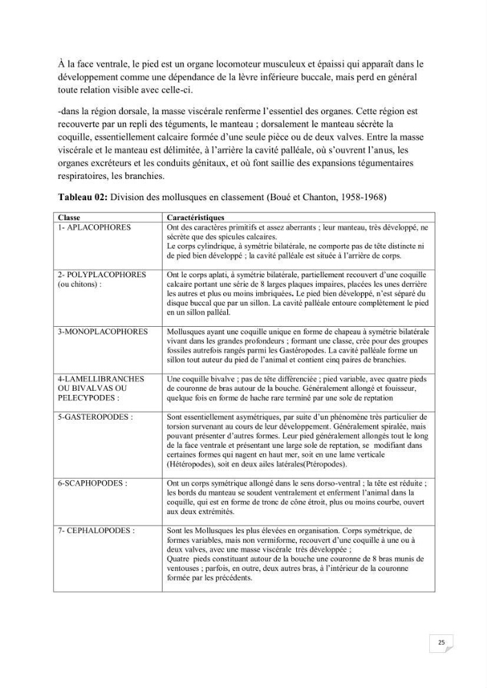 Contribution à la connaissance de la macrofaune benthique de l\'Anse de Kouali et mont Chenoua