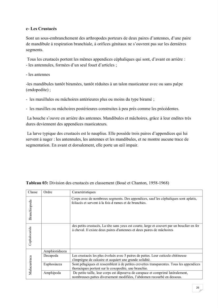 Contribution à la connaissance de la macrofaune benthique de l\'Anse de Kouali et mont Chenoua