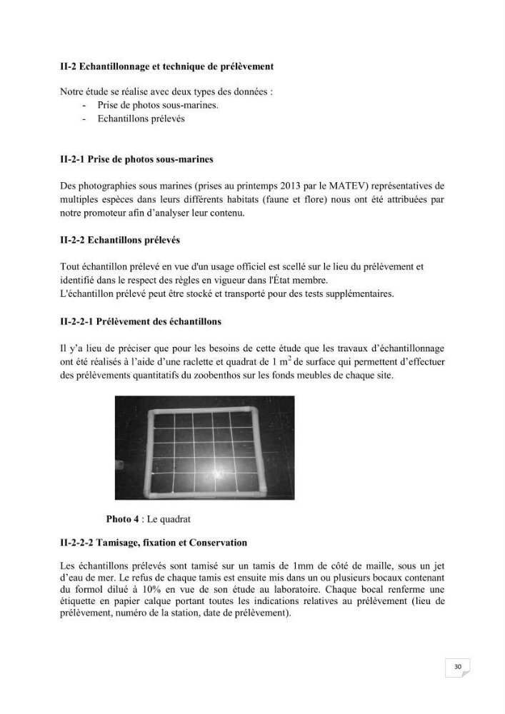 Contribution à la connaissance de la macrofaune benthique de l\'Anse de Kouali et mont Chenoua