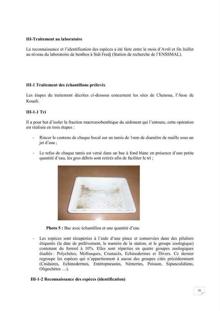Contribution à la connaissance de la macrofaune benthique de l\'Anse de Kouali et mont Chenoua