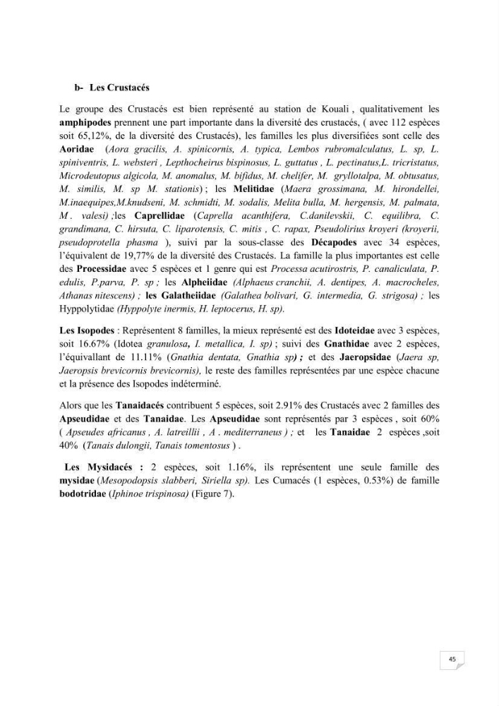 Contribution à la connaissance de la macrofaune benthique de l\'Anse de Kouali et mont Chenoua