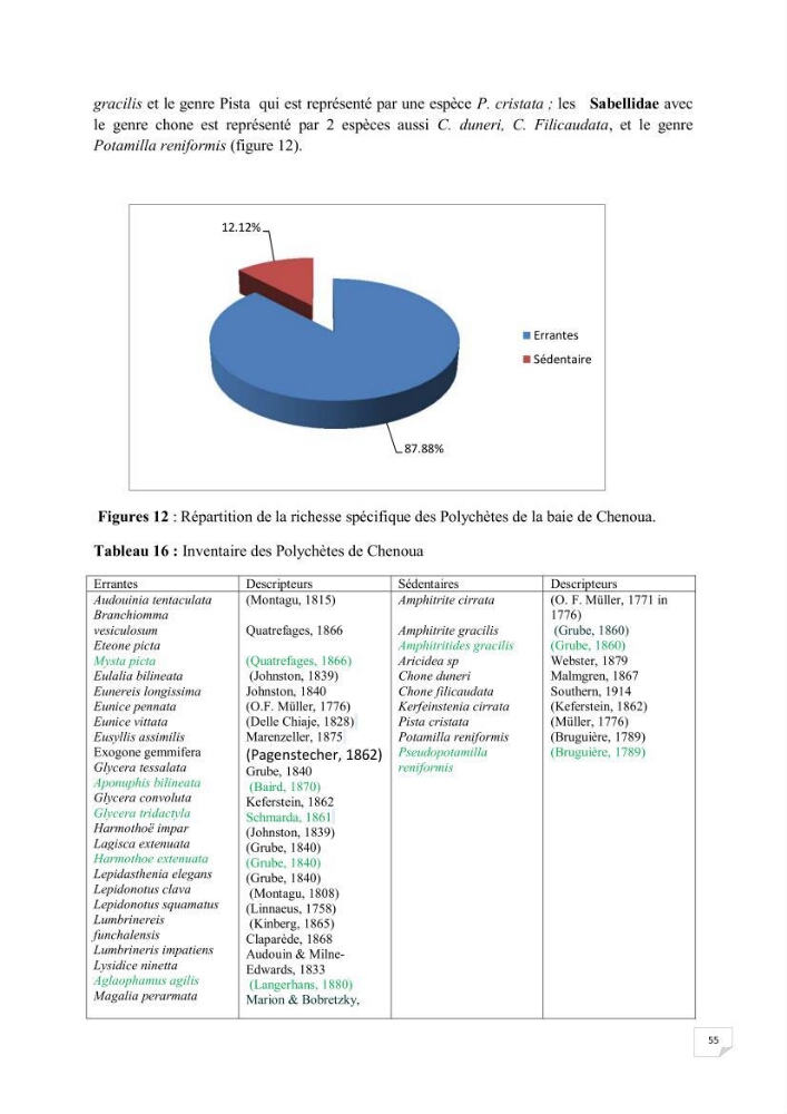 Contribution à la connaissance de la macrofaune benthique de l\'Anse de Kouali et mont Chenoua