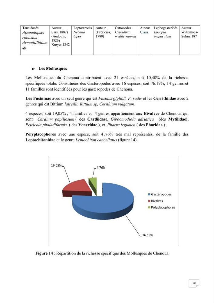 Contribution à la connaissance de la macrofaune benthique de l\'Anse de Kouali et mont Chenoua