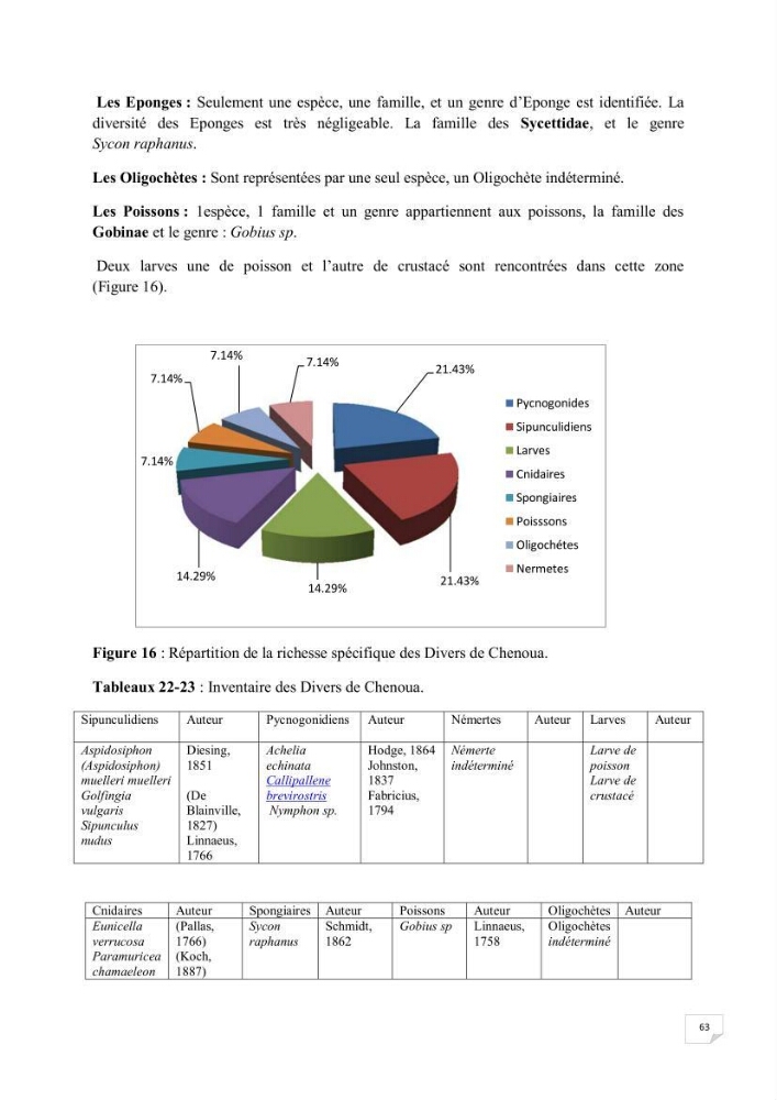 Contribution à la connaissance de la macrofaune benthique de l\'Anse de Kouali et mont Chenoua