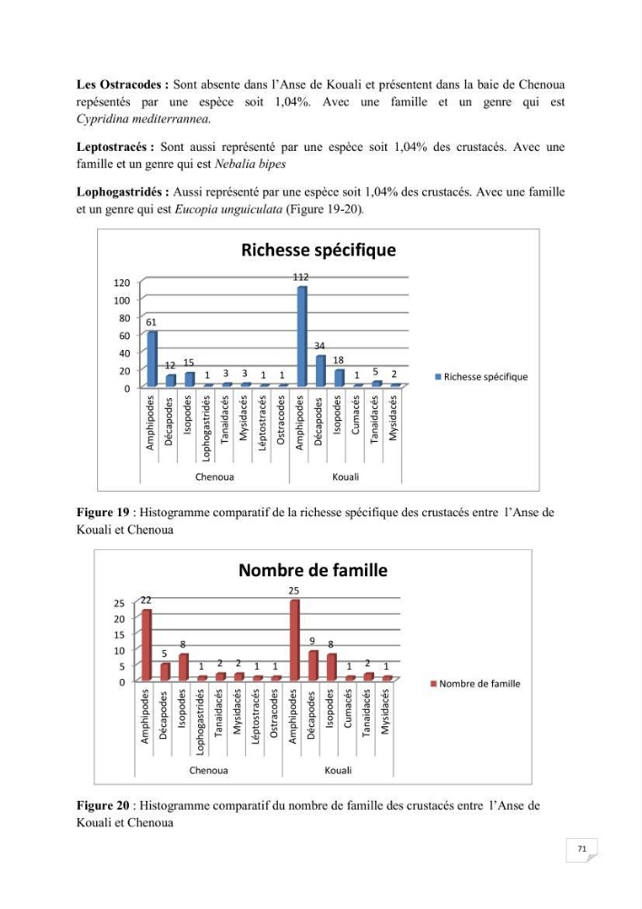 Contribution à la connaissance de la macrofaune benthique de l\'Anse de Kouali et mont Chenoua