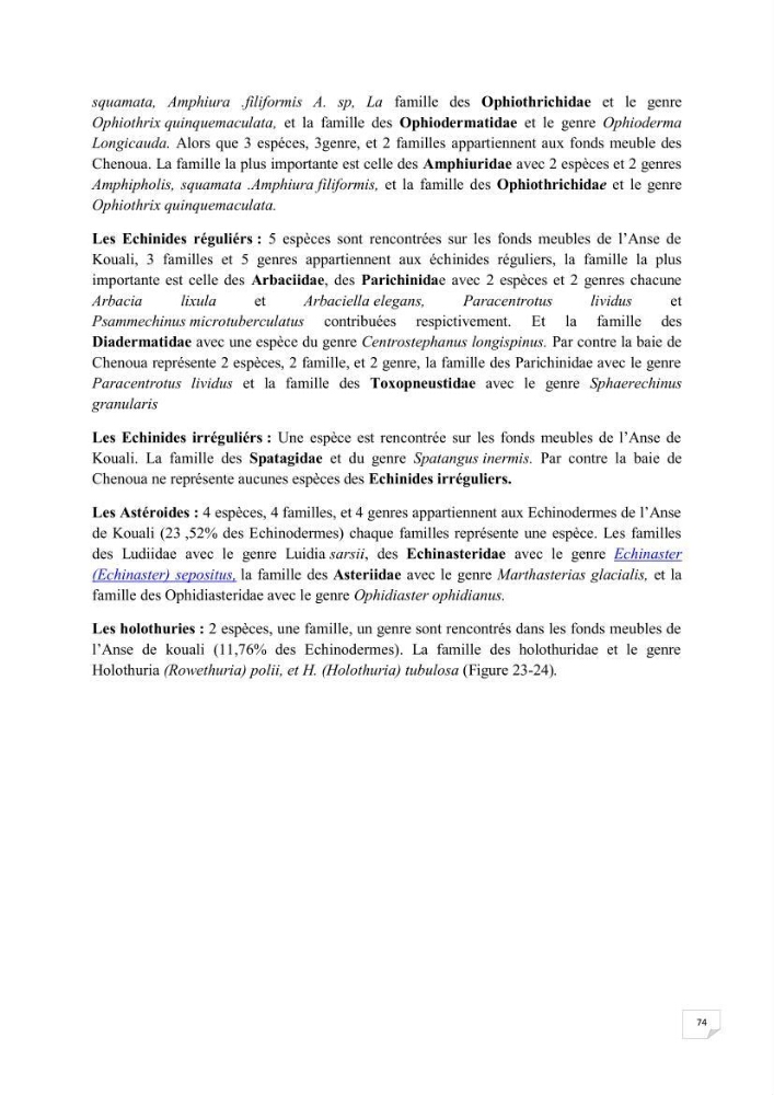 Contribution à la connaissance de la macrofaune benthique de l\'Anse de Kouali et mont Chenoua