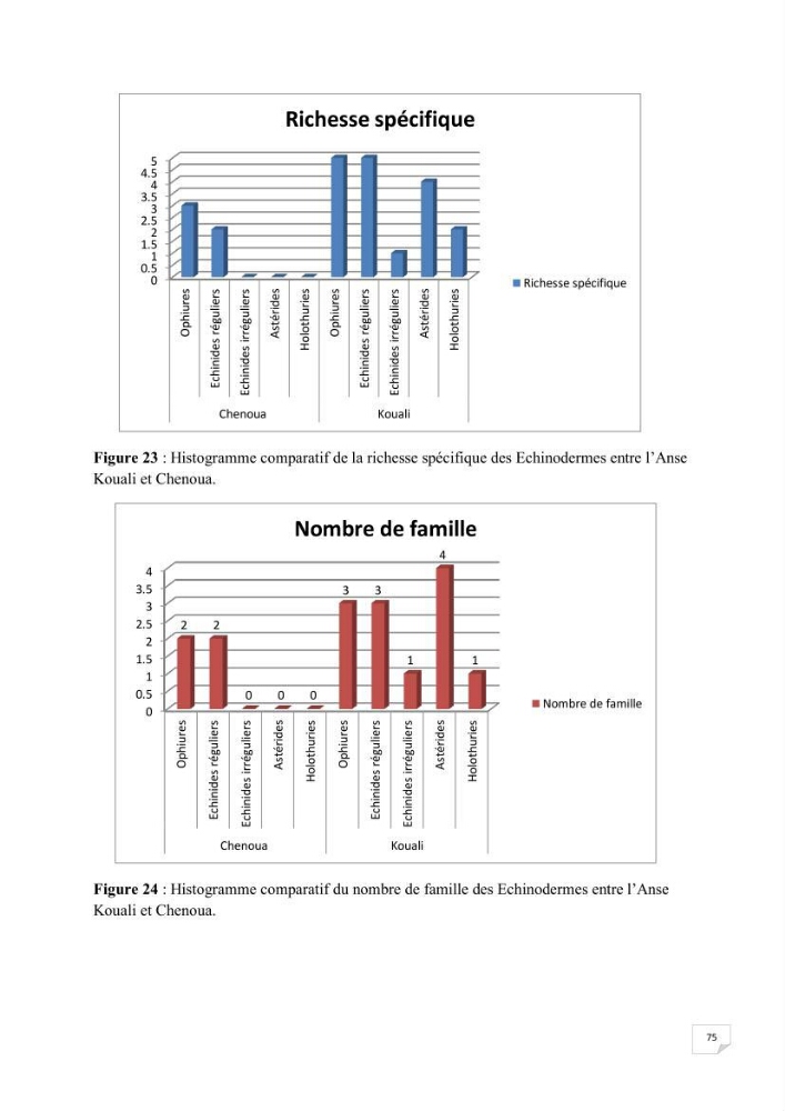 Contribution à la connaissance de la macrofaune benthique de l\'Anse de Kouali et mont Chenoua