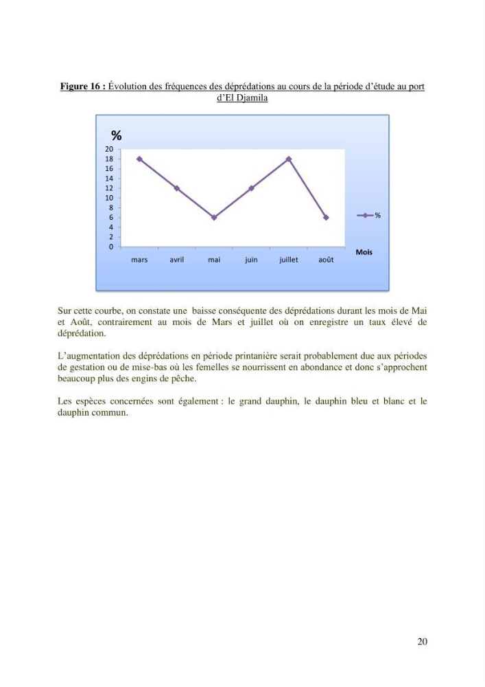 Impact de la déprédation des delphinidés et interaction pêcherie-cétacés le long des côtes algériennes