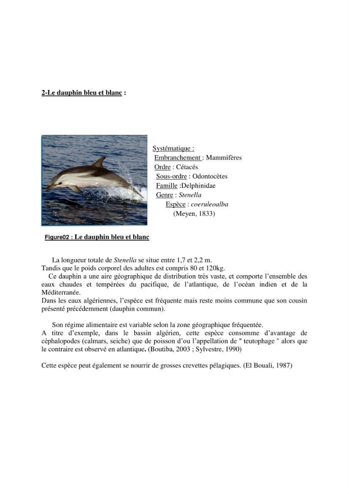 Impact de la déprédation des delphinidés et interaction pêcherie-cétacés le long des côtes algériennes