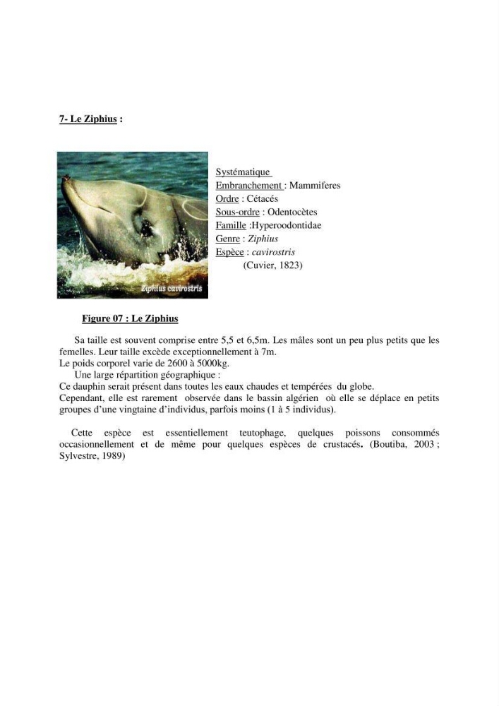 Impact de la déprédation des delphinidés et interaction pêcherie-cétacés le long des côtes algériennes