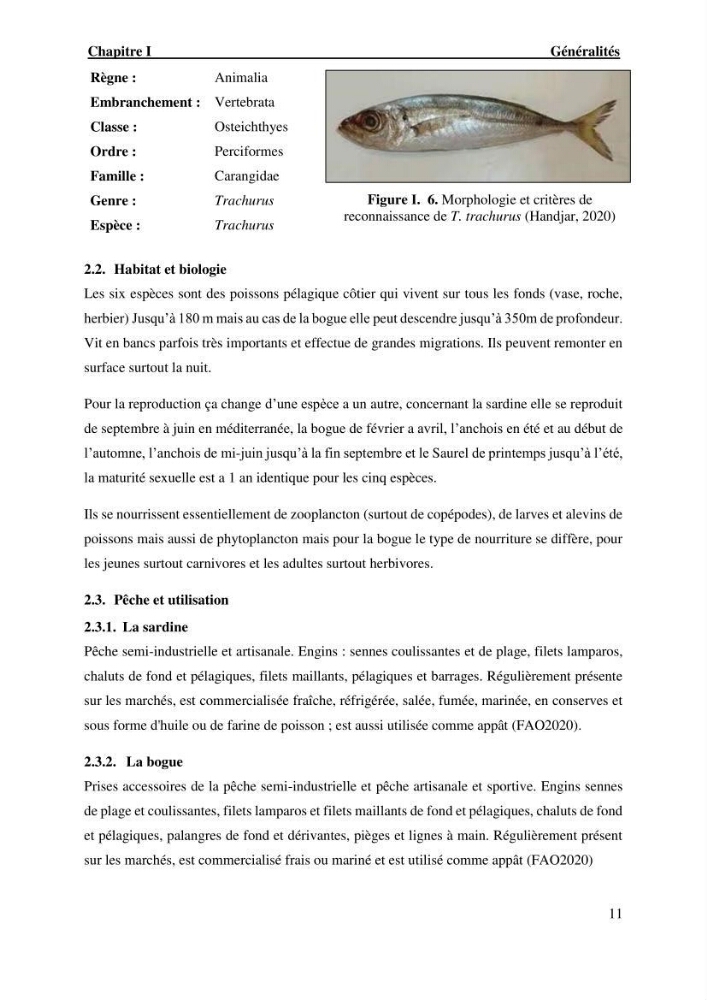 Effet des paramètres du milieu sur la dynamique des populations des petits pélagiques (Linnaeus, 1758 ) des côtes algériennes selon la théorie DEB ( Dynamique Energy Budjet )