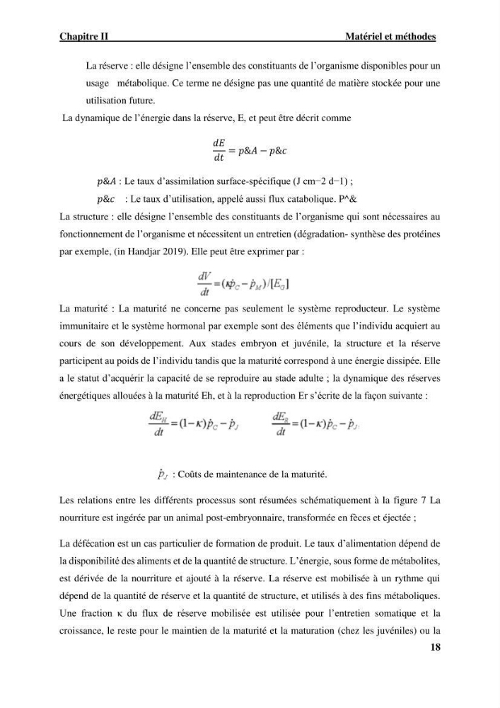 Effet des paramètres du milieu sur la dynamique des populations des petits pélagiques (Linnaeus, 1758 ) des côtes algériennes selon la théorie DEB ( Dynamique Energy Budjet )