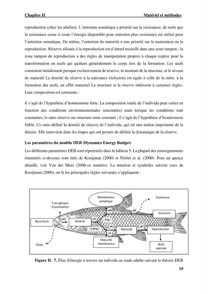 Effet des paramètres du milieu sur la dynamique des populations des petits pélagiques (Linnaeus, 1758 ) des côtes algériennes selon la théorie DEB ( Dynamique Energy Budjet )