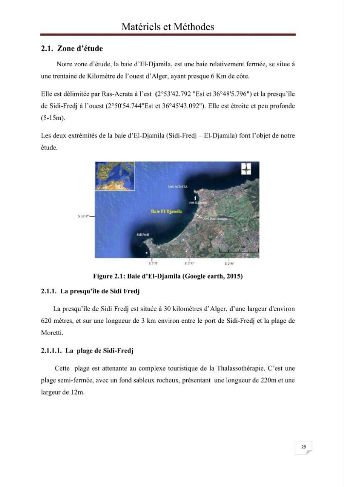 Contribution à l\'étude du phytoplancton nocif dans des zones confinées de la région d\'Alger( port et plage d\'Eldjamila,port et plage de Sidi fredj: