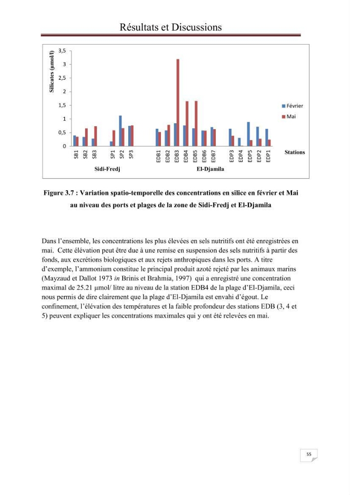 Contribution à l\'étude du phytoplancton nocif dans des zones confinées de la région d\'Alger( port et plage d\'Eldjamila,port et plage de Sidi fredj:
