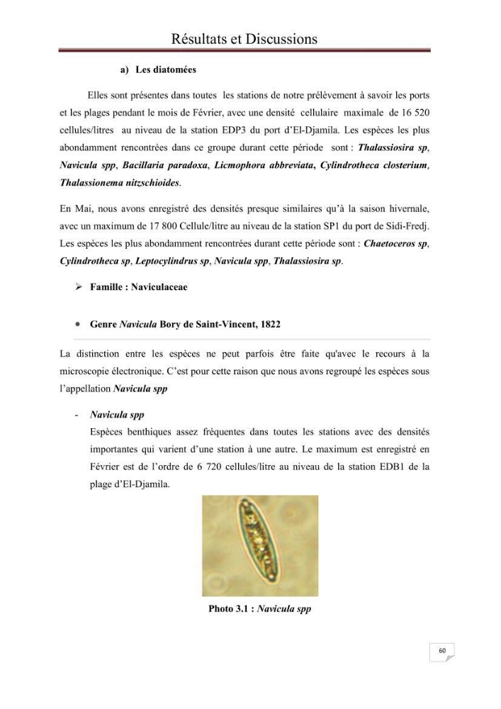 Contribution à l\'étude du phytoplancton nocif dans des zones confinées de la région d\'Alger( port et plage d\'Eldjamila,port et plage de Sidi fredj: