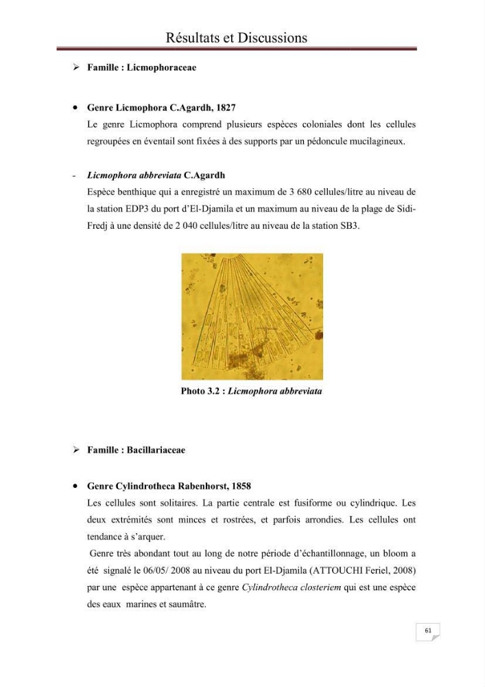 Contribution à l\'étude du phytoplancton nocif dans des zones confinées de la région d\'Alger( port et plage d\'Eldjamila,port et plage de Sidi fredj: