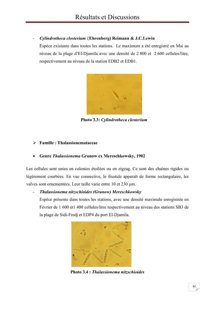 Contribution à l\'étude du phytoplancton nocif dans des zones confinées de la région d\'Alger( port et plage d\'Eldjamila,port et plage de Sidi fredj: