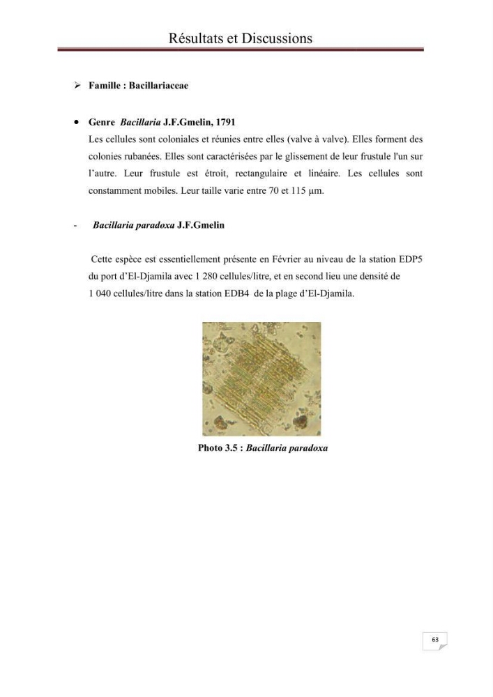 Contribution à l\'étude du phytoplancton nocif dans des zones confinées de la région d\'Alger( port et plage d\'Eldjamila,port et plage de Sidi fredj: