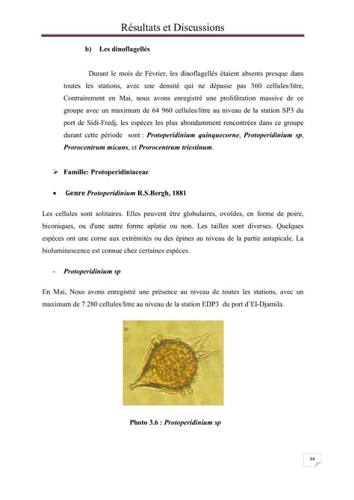 Contribution à l\'étude du phytoplancton nocif dans des zones confinées de la région d\'Alger( port et plage d\'Eldjamila,port et plage de Sidi fredj: