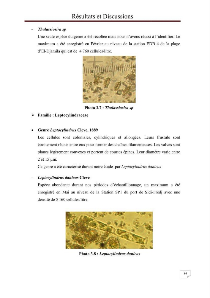 Contribution à l\'étude du phytoplancton nocif dans des zones confinées de la région d\'Alger( port et plage d\'Eldjamila,port et plage de Sidi fredj: