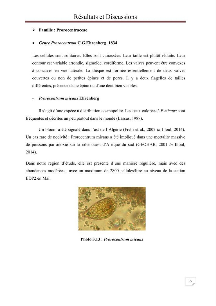 Contribution à l\'étude du phytoplancton nocif dans des zones confinées de la région d\'Alger( port et plage d\'Eldjamila,port et plage de Sidi fredj: