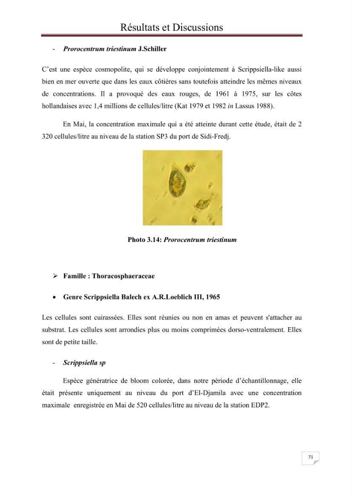 Contribution à l\'étude du phytoplancton nocif dans des zones confinées de la région d\'Alger( port et plage d\'Eldjamila,port et plage de Sidi fredj: