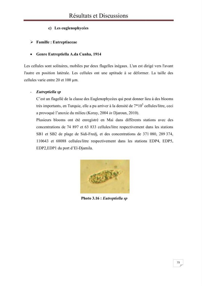 Contribution à l\'étude du phytoplancton nocif dans des zones confinées de la région d\'Alger( port et plage d\'Eldjamila,port et plage de Sidi fredj: