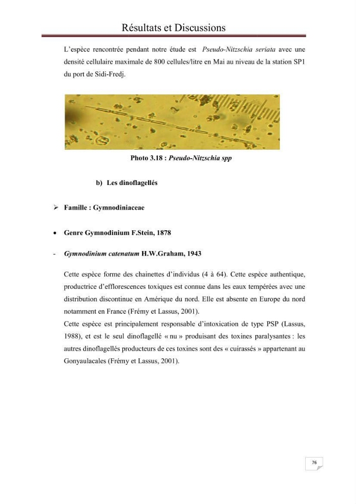 Contribution à l\'étude du phytoplancton nocif dans des zones confinées de la région d\'Alger( port et plage d\'Eldjamila,port et plage de Sidi fredj: