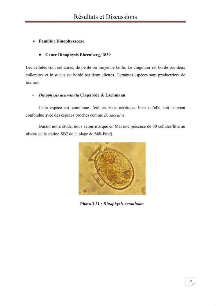 Contribution à l\'étude du phytoplancton nocif dans des zones confinées de la région d\'Alger( port et plage d\'Eldjamila,port et plage de Sidi fredj: