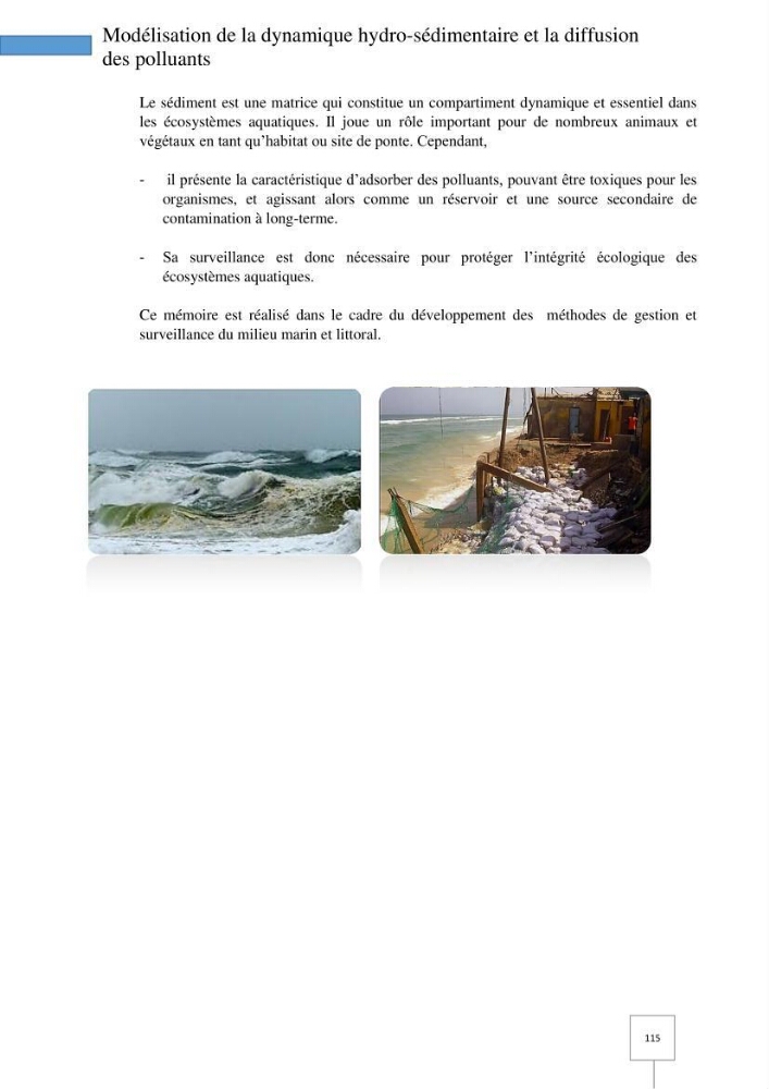 Dynamique spatiale et temporelle des polluants métalliques dans les sédiments marins : Impact de la contamination métallique