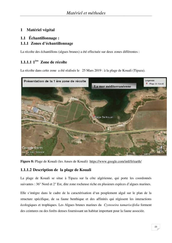 Extraction et identification des alginates à partir d’algues brunes aux possibilités alimentaires et pharmacologiques