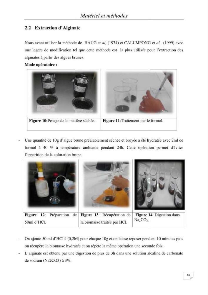 Extraction et identification des alginates à partir d’algues brunes aux possibilités alimentaires et pharmacologiques