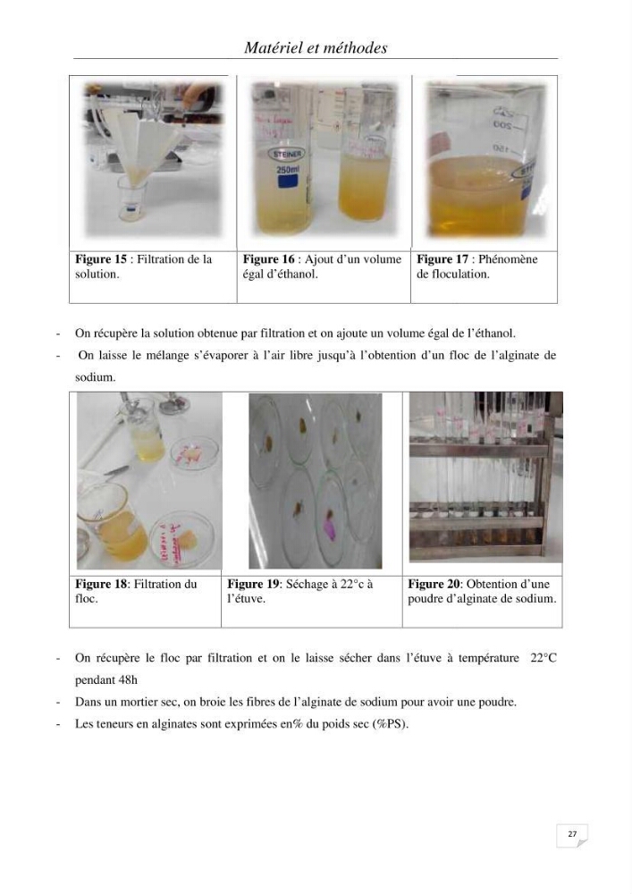 Extraction et identification des alginates à partir d’algues brunes aux possibilités alimentaires et pharmacologiques