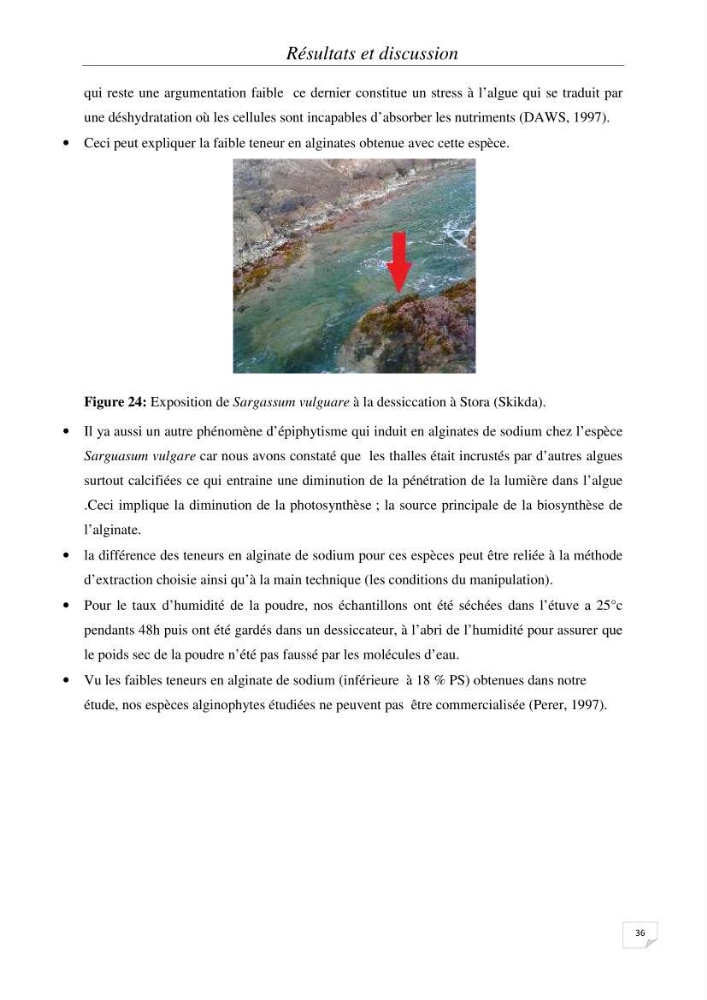Extraction et identification des alginates à partir d’algues brunes aux possibilités alimentaires et pharmacologiques