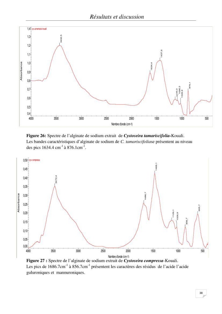 Extraction et identification des alginates à partir d’algues brunes aux possibilités alimentaires et pharmacologiques