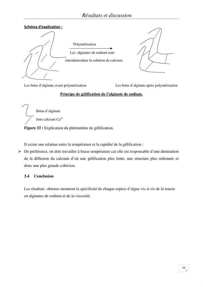 Extraction et identification des alginates à partir d’algues brunes aux possibilités alimentaires et pharmacologiques