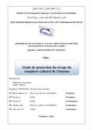 Etude de protection du rivage du complexe culturel de Chenoua: