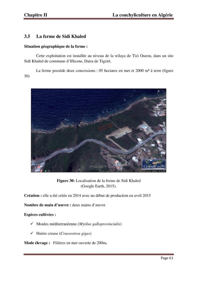 La conchyliculture en Algerie: situation actuelle et perspectives de développement