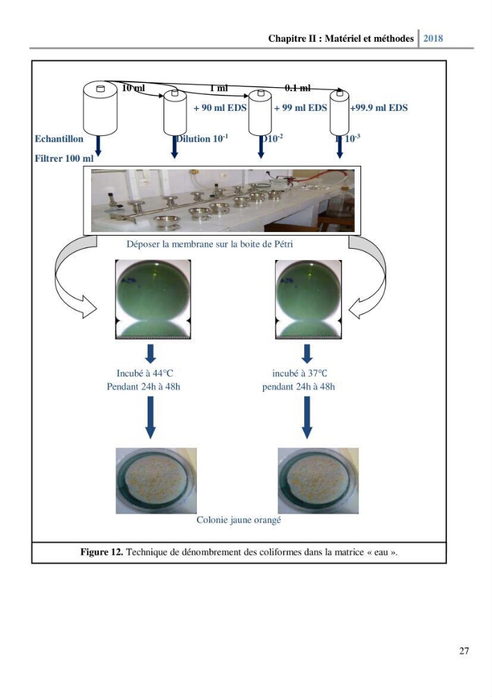 Etude des paramètres physico-chimiques et microbiologiques de l’eau et des sédiments des deux plages Est et Ouest de sidi Fredj.:
