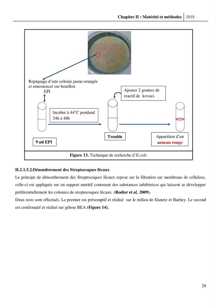 Etude des paramètres physico-chimiques et microbiologiques de l’eau et des sédiments des deux plages Est et Ouest de sidi Fredj.: