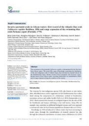 Invasive portunid crabs in Libyan waters: first record of the Atlantic blue crab Callinectes sapidus Rathbun, 1896 and range expansion of the swimming blue
crab Portunus segnis (Forskål, 1775)
