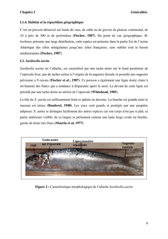 Evaluation de la qualité microbiologique et niveau des éléments trace métaliques dans les poissons comestibles et risque sur la santé de l\'homme
