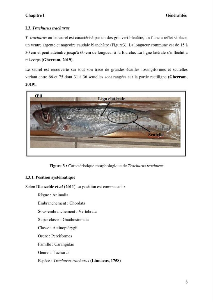 Evaluation de la qualité microbiologique et niveau des éléments trace métaliques dans les poissons comestibles et risque sur la santé de l\'homme