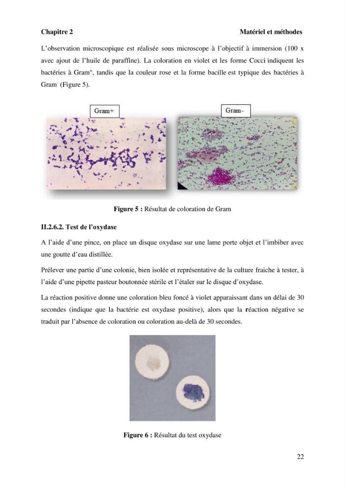 Evaluation de la qualité microbiologique et niveau des éléments trace métaliques dans les poissons comestibles et risque sur la santé de l\'homme